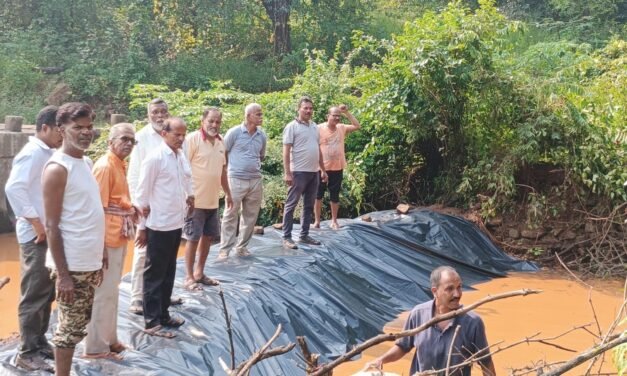 तळे चिंचवाडी परिसरात ग्रामस्थांच्या सहकार्याने बांधण्यात आले वनराई बंधारे…!