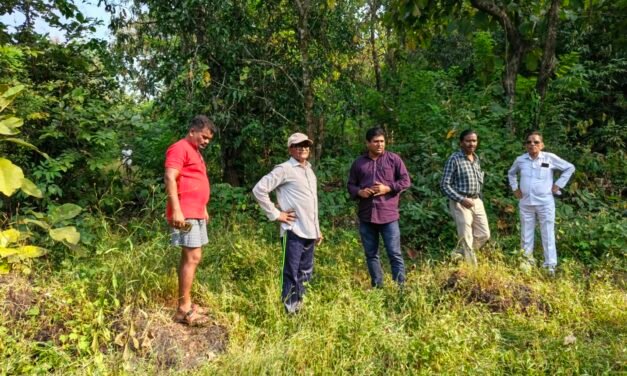 पाले बौद्धवाडीच्या स्मशानभूमीचा मार्ग होणार सुलभ; भाजपा अनुसूचित जाती मोर्चाच्या पदाधिकाऱ्यांकडून पाहणी…