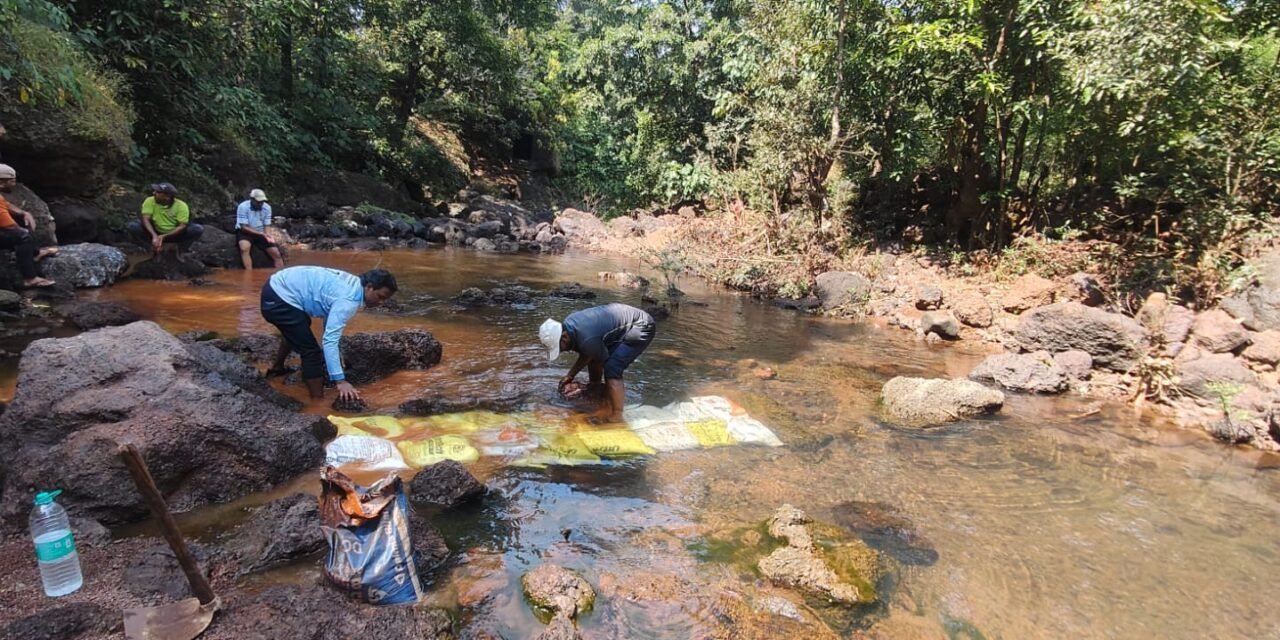 पाणीटंचाईच्या पार्श्वभूमीवर मंडणगड नगरनगरपंचायत निवळी नदीवर बंधारे बांधण्याचे काम पूर्ण…